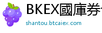 BKEX國庫券合約價值官網